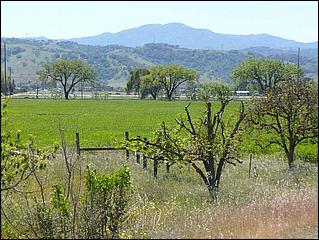 Bike-CoyoteCreekTrail09-073c.jpg