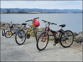 Bike-SFBayTrail_FosterCity09-043b.jpg