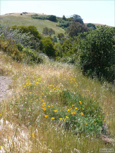 Bike-AlamedaCreekTrail-070b.jpg - for personal use