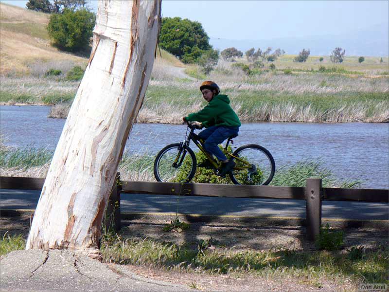 Bike-AlamedaCreekTrail-100c.jpg - for personal use