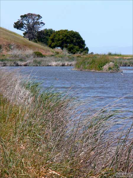 Bike-AlamedaCreekTrail-102c.jpg - for personal use