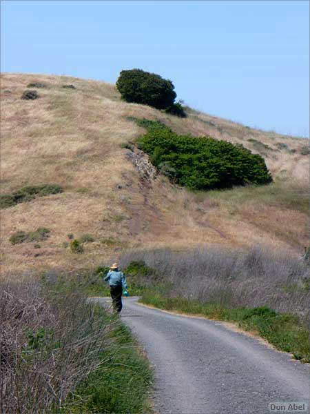 Bike-AlamedaCreekTrail-109c.jpg - for personal use