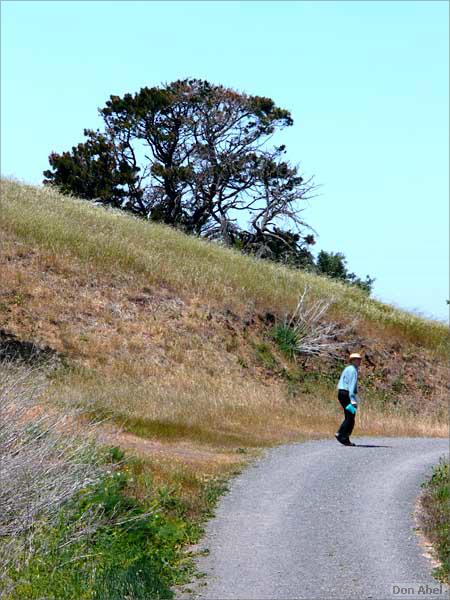 Bike-AlamedaCreekTrail-110c.jpg - for personal use