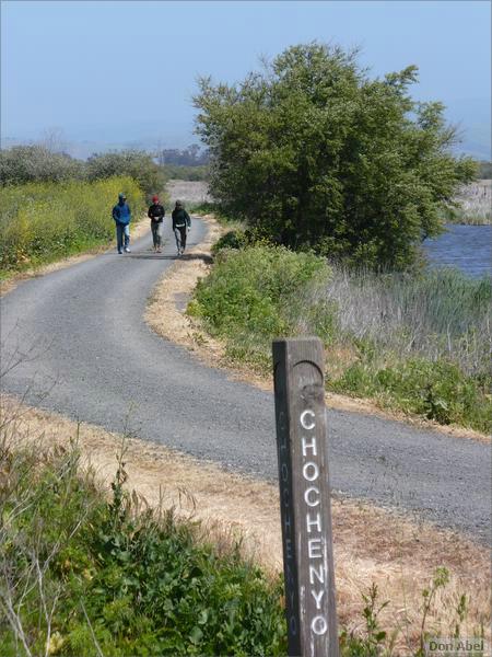 Bike-AlamedaCreekTrail-120b.jpg - for personal use