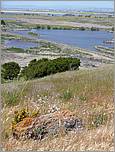 Bike-AlamedaCreekTrail-088b.jpg