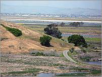 Bike-AlamedaCreekTrail-094e.jpg