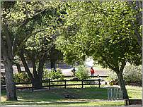 Bike-AlamedaCreekTrail-099b.jpg