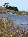 Bike-AlamedaCreekTrail-102c.jpg