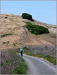 Bike-AlamedaCreekTrail-109c.jpg