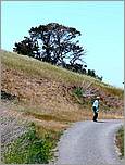 Bike-AlamedaCreekTrail-110c.jpg