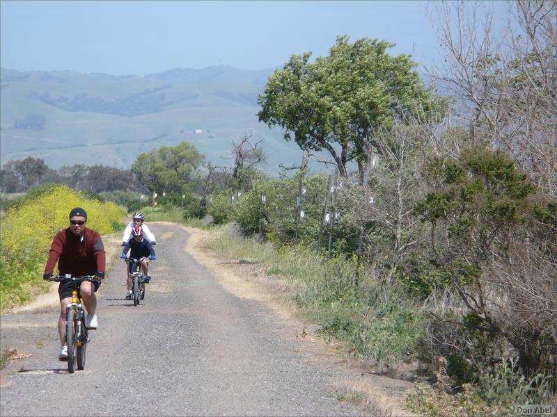 Bike-AlamedaCreekTrail-123b.jpg - for personal use