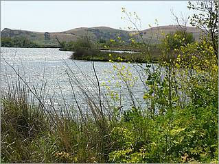 Bike-AlamedaCreekTrail-131b.jpg